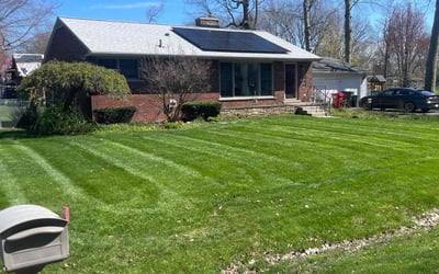 Photo of Galisa B.'s yard after getting lawn care in Clinton Township, MI