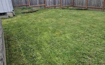 Photo of Amber D.'s yard after getting lawn care in Oregon City, OR
