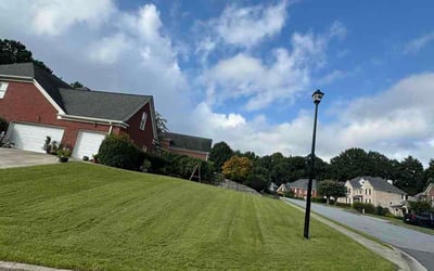 Photo of Debbie J.'s yard after getting lawn care in Coon Rapids, MN