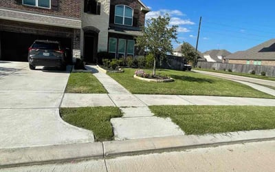 Photo of Sydney S.'s yard after getting lawn care in Mount Pleasant, SC