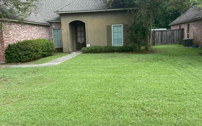Photo of Amira O.'s yard after getting lawn care in Port Allen, LA