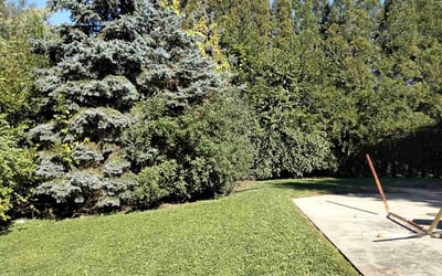 Photo of Steven R.'s yard after getting lawn care in Northbrook, IL