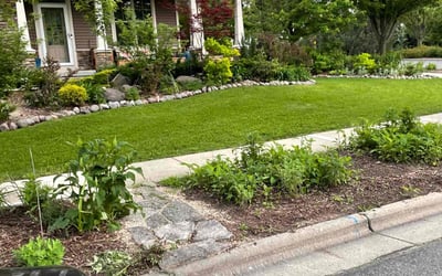 Photo of David H.'s yard after getting lawn care in Waunakee, WI
