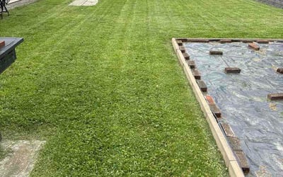 Photo of Edward H.'s yard after getting lawn care in Milford, MA