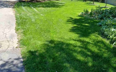 Photo of Shyceka A.'s yard after getting lawn care in Ada, MI