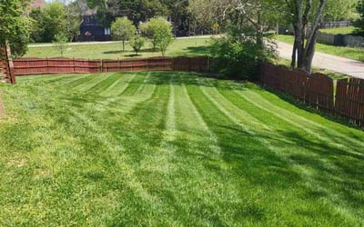 Photo of Ann N.'s yard after getting lawn care in La Follette, TN