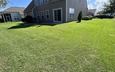 Photo of Antoine S.'s yard after getting lawn care in Myrtle Beach, SC