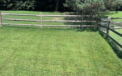 Photo of Spencer S.'s yard after getting lawn care in Leicester, NC