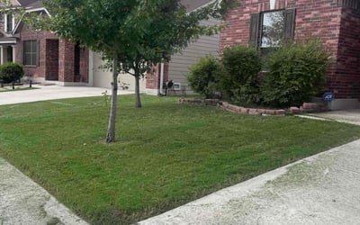 Photo of Melody W.'s yard after getting lawn care in Converse, TX