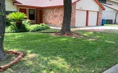 Photo of Chad H.'s yard after getting lawn care in Von Ormy, TX