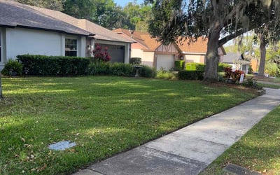 Photo of Charlie H.'s yard after getting lawn care in Key West, FL