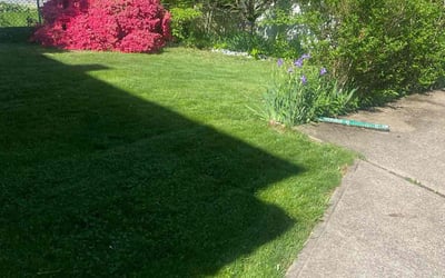 Photo of Tracey T.'s yard after getting lawn care in Finleyville, PA
