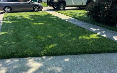 Photo of Dorothy W.'s yard after getting lawn care in Kenner, LA