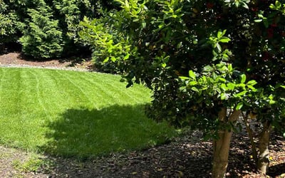 Photo of Kevin L.'s yard after getting lawn care in Fort Washington, MD