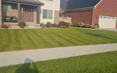 Photo of Hetal P.'s yard after getting lawn care in Southgate, MI