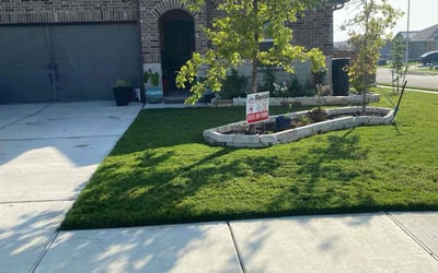 Photo of Tui S.'s yard after getting lawn care in San Marcos, TX