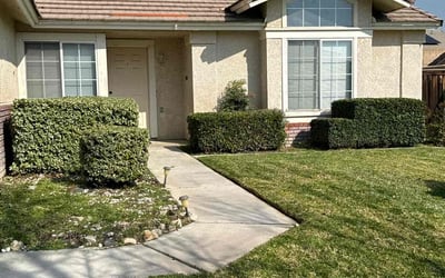Photo of Leon W.'s yard after getting lawn care in San Bernardino, CA