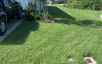 Photo of Jessica Y.'s yard after getting lawn care in Titusville, FL