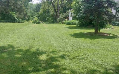 Photo of Andrea B.'s yard after getting lawn care in West Chicago, IL