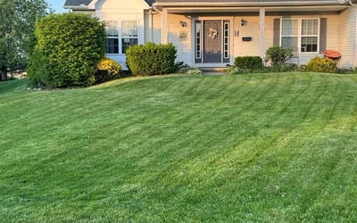 Photo of Sherry O.'s yard after getting lawn care in Wickliffe, OH