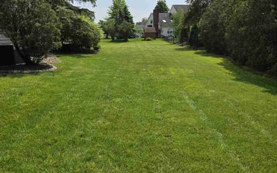 Photo of Yong L.'s yard after getting lawn care in East Amherst, NY