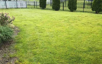 Photo of Leonardo r.'s yard after getting lawn care in Greenwood, IN