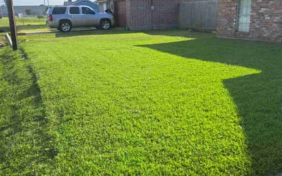 Photo of Luay A.'s yard after getting lawn care in Texas City, TX