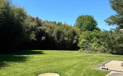 Photo of Samuel B.'s yard after getting lawn care in Suitland, MD
