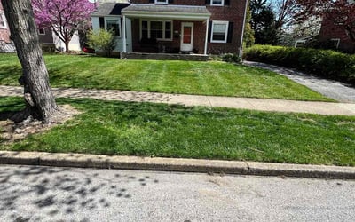 Photo of Efren S.'s yard after getting lawn care in Havertown, PA