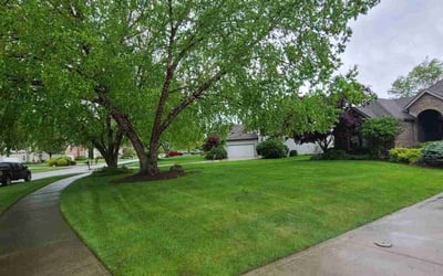 Photo of Maggie W.'s yard after getting lawn care in Westlake, OH