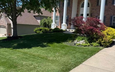 Photo of India N.'s yard after getting lawn care in Whitehall, PA