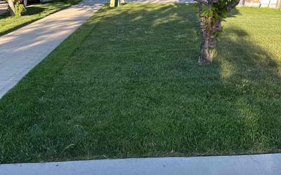 Photo of Joanne F.'s yard after getting lawn care in Magna, UT