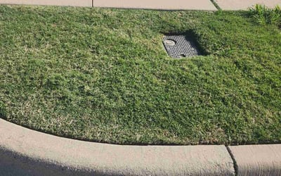 Photo of Gustavo R.'s yard after getting lawn care in Gwynn Oak, MD