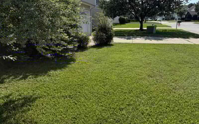 Photo of Akia G.'s yard after getting lawn care in Princeton, NC
