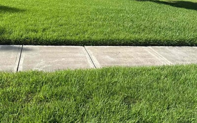 Photo of Allyson G.'s yard after getting lawn care in Eden, NC
