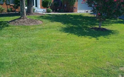 Photo of Linda N.'s yard after getting lawn care in Ashburn, VA