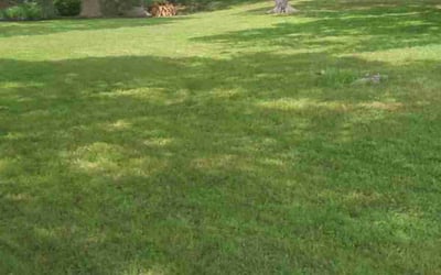Photo of Cheryl B.'s yard after getting lawn care in Floresville, TX