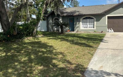 Photo of Isis R.'s yard after getting lawn care in Deltona, FL