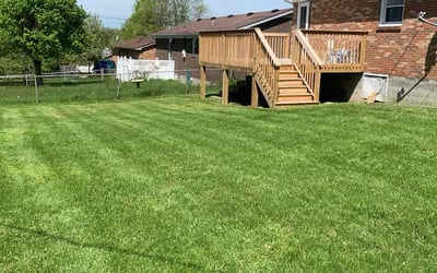 Photo of Nikol A.'s yard after getting lawn care in Nicholasville, KY