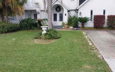 Photo of Jason J.'s yard after getting lawn care in Lithonia, GA