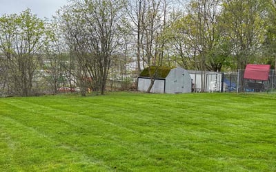 Photo of Mark s.'s yard after getting lawn care in Canastota, NY