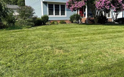 Photo of Meenu K.'s yard after getting lawn care in Glen Allen, VA