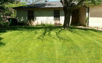 Photo of Rick H.'s yard after getting lawn care in Haltom City, TX