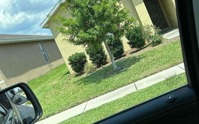 Photo of Karen S.'s yard after getting lawn care in Kissimmee, FL