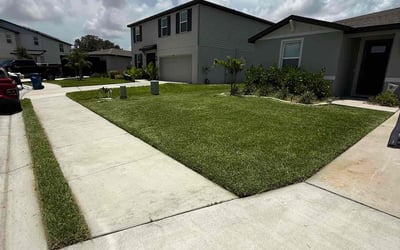 Photo of Tammy W.'s yard after getting lawn care in Phillipsburg, NJ