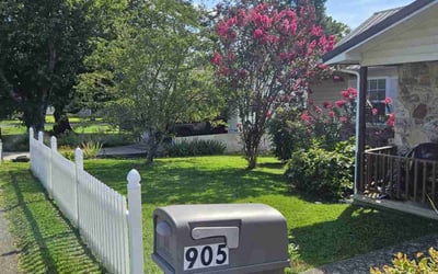 Photo of Bonnie T.'s yard after getting lawn care in Fort Collins, CO