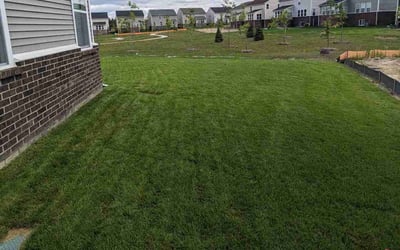 Photo of Sarah K.'s yard after getting lawn care in South Lyon, MI