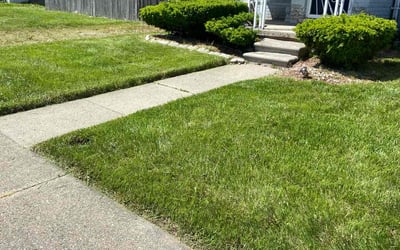 Photo of Paul S.'s yard after getting lawn care in Glastonbury, CT