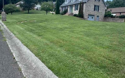 Photo of Ashley R.'s yard after getting lawn care in Reading, PA