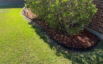 Photo of Famia T.'s yard after getting lawn care in Gonzales, LA